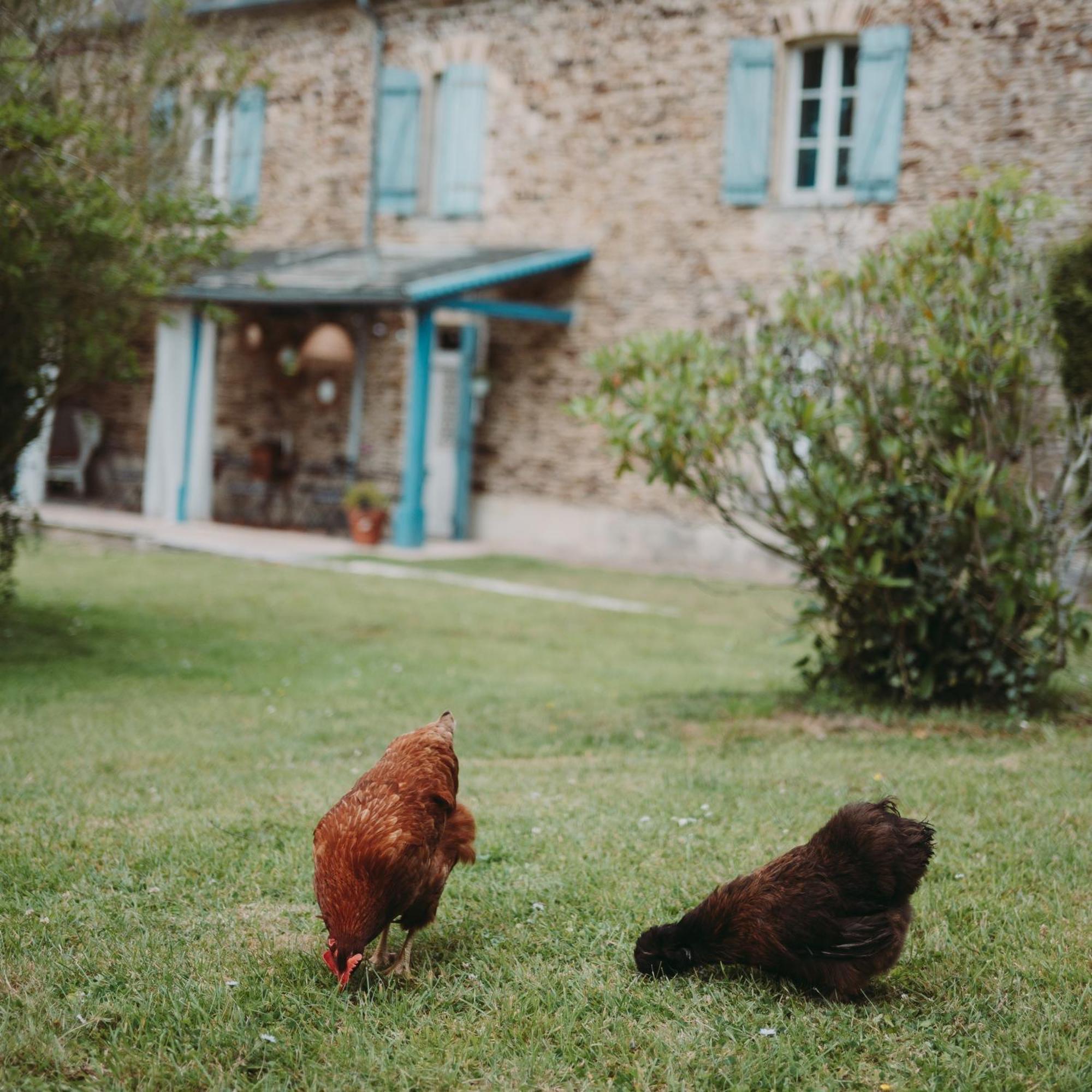 Domaine De La Fauvriere Hotel Sainte-Honorine-de-Ducy Kültér fotó
