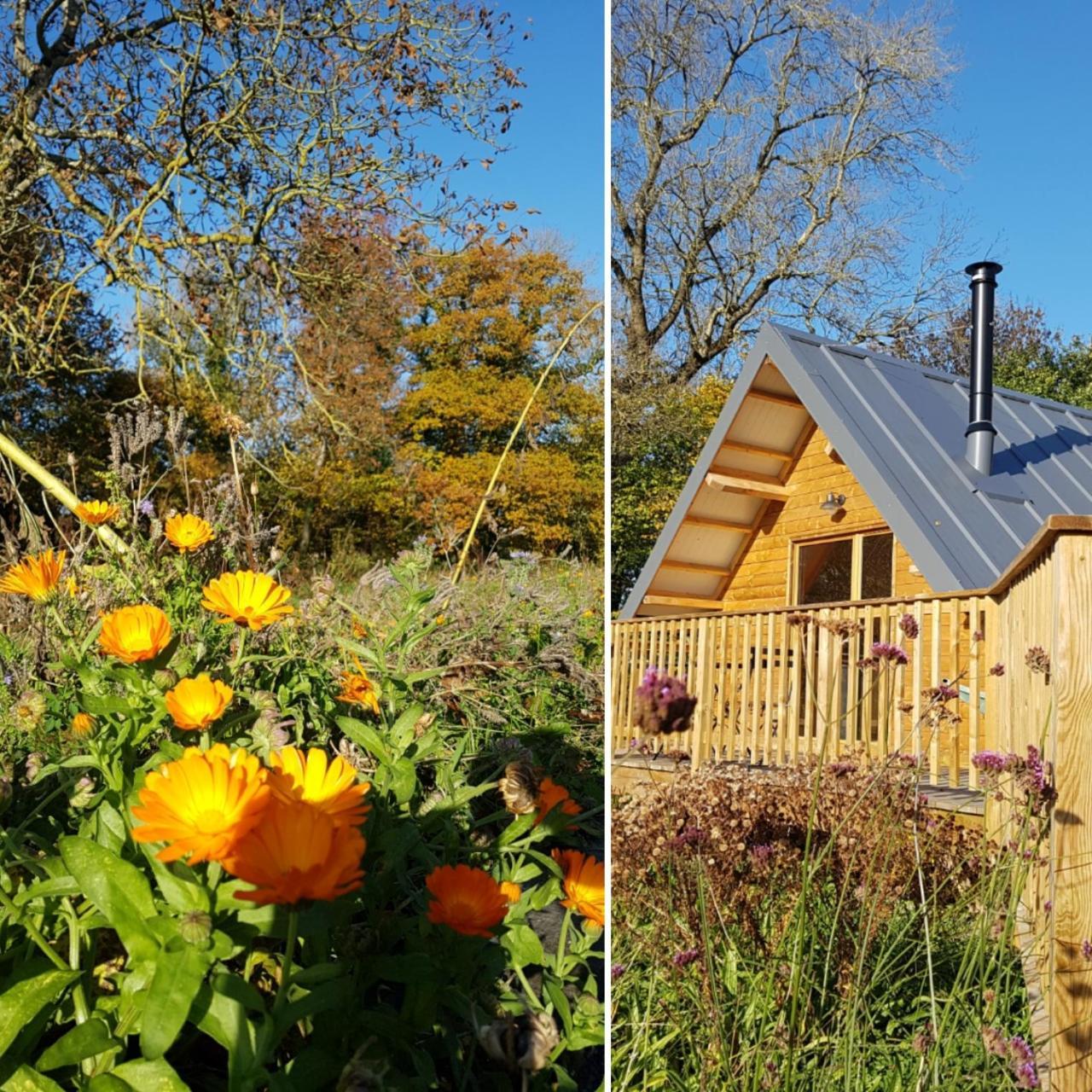 Domaine De La Fauvriere Hotel Sainte-Honorine-de-Ducy Kültér fotó